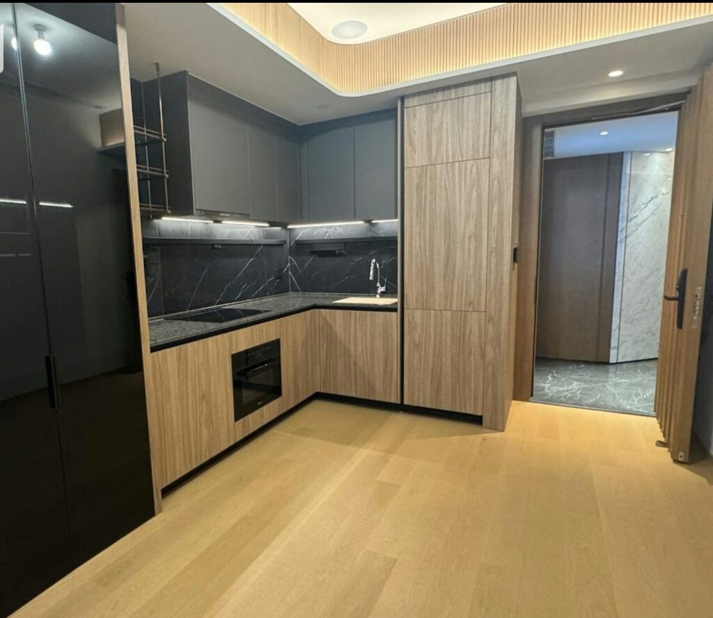 海德園第1期 The Headland Residences Phase 1 開放式廚房設計 配備現代廚櫃及電器